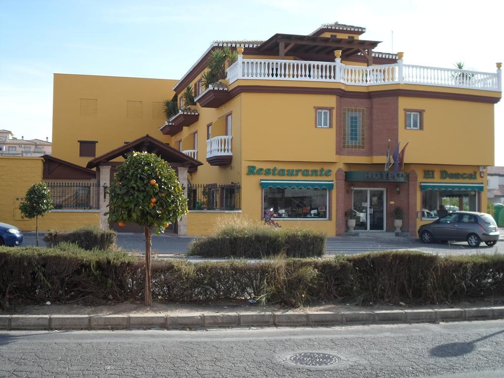 Hotel El Doncel Atarfe エクステリア 写真